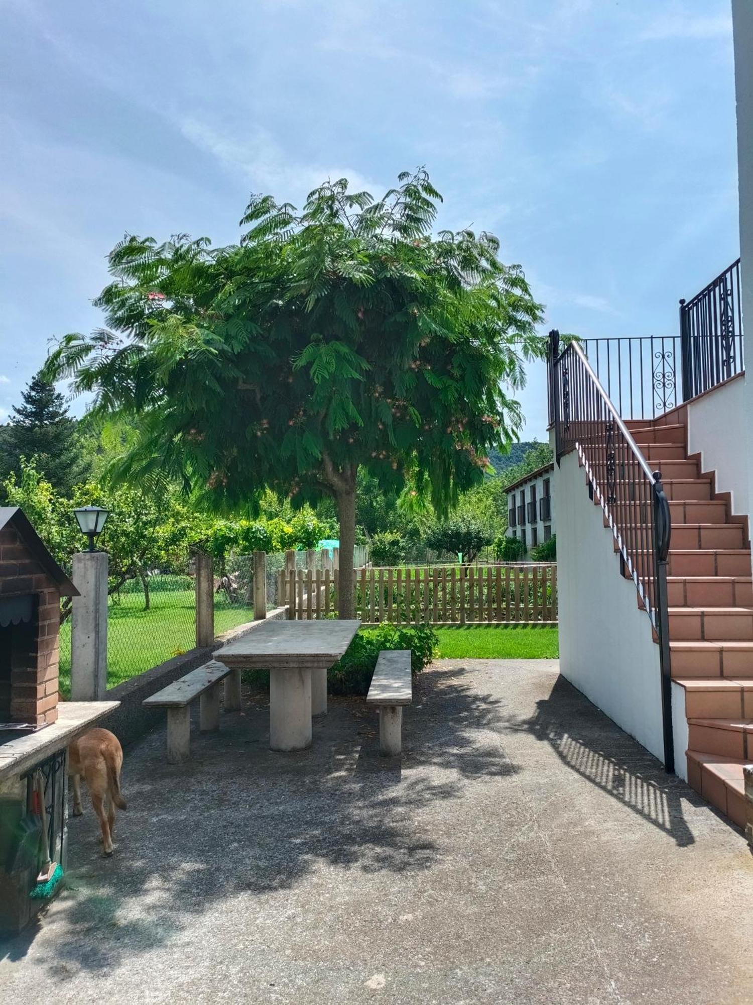 Apartamento Rural Casa Paco Con Jacuzzi Exterior Y Barbacoa Ainsa Bagian luar foto
